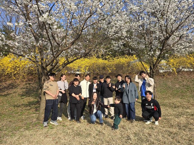 Spring picnic under the cherry blossoms