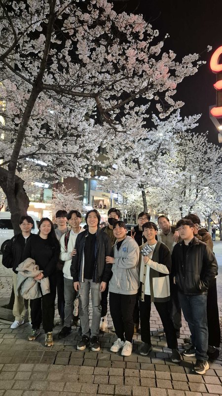 Evening cherry blossom walk