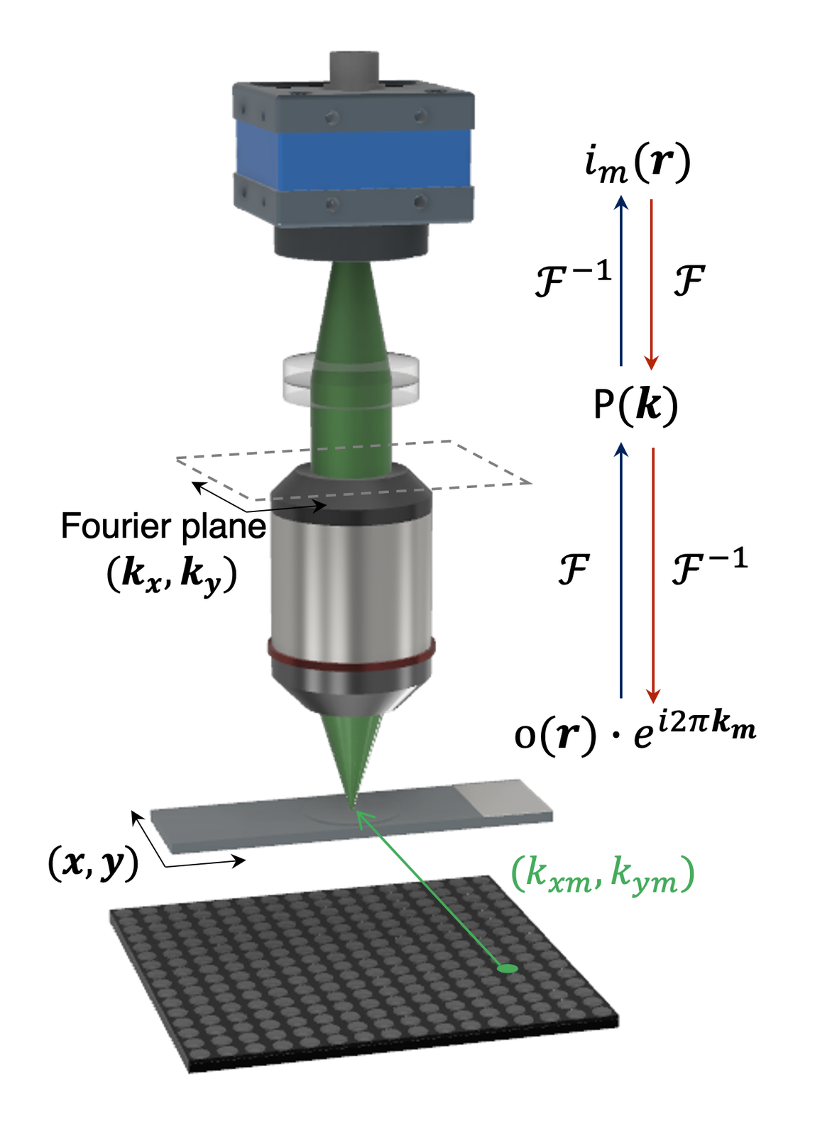 FP forward model: tilted LED illumination shifts the sample spectrum through the objective pupil onto the camera.