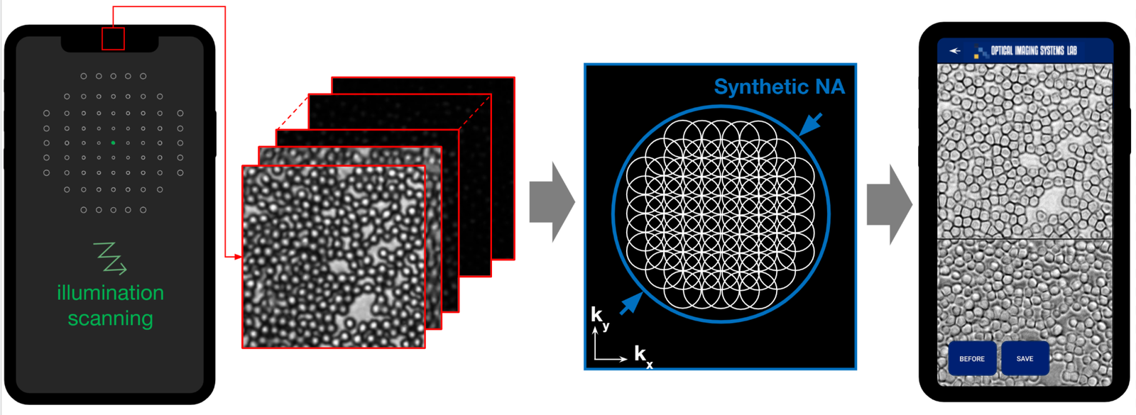 Smartphone FP pipeline: screen illumination scanning, raw images, synthetic aperture in Fourier space and on-phone reconstruction.