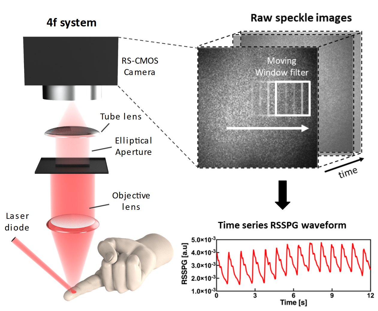 RSSPG setup on a fingertip and the resulting pulse waveform.