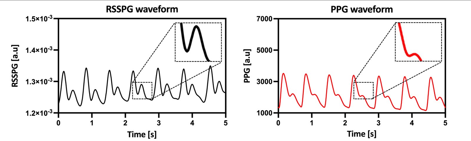RSSPG and PPG waveforms side by side; the dicrotic notch is much clearer in RSSPG.