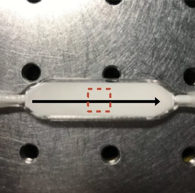 Microfluidic flow phantom used to validate RSSI against known flow rates.