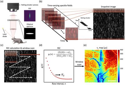 RSSI principle: an elliptical aperture elongates speckles along sensor rows, and row-by-row readout samples their decorrelation in a single frame.