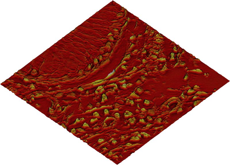 Quantitative phase of an unstained tissue section rendered as a 3D surface, where height shows optical thickness.